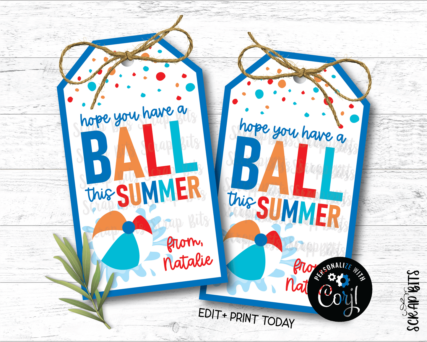 Beach Ball Hope You Have A Ball This Summer, Last Day of School Tags, Bright Angle Top, EDITABLE Printable Digital Download - Scrap Bits