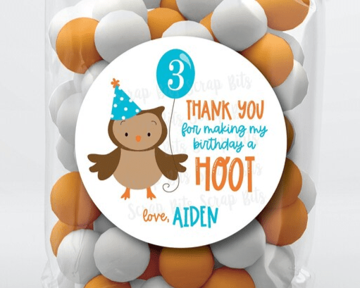 Cutesy Owl Birthday Labels, Thanks For Making My Birthday A Hoot, Personalized Birthday Favor Stickers or Tags - Scrap Bits