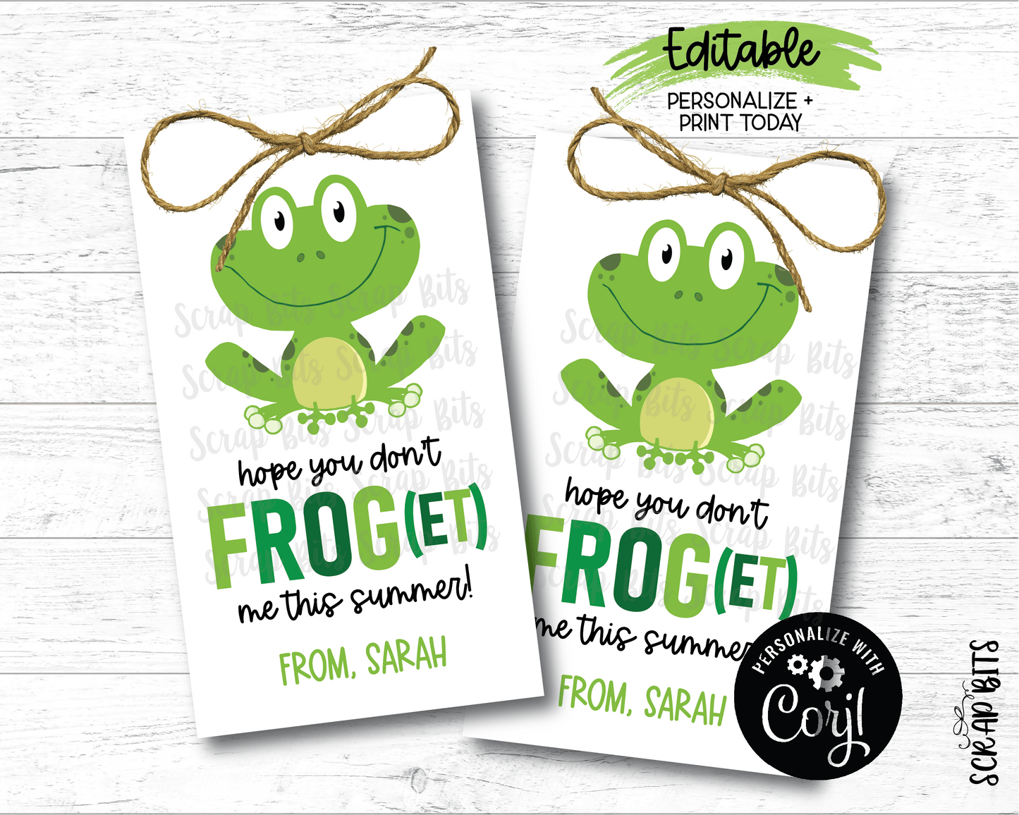 Don't Frog (et) Me Last Day of School Tags, EDITABLE Printable Digital Download - Scrap Bits