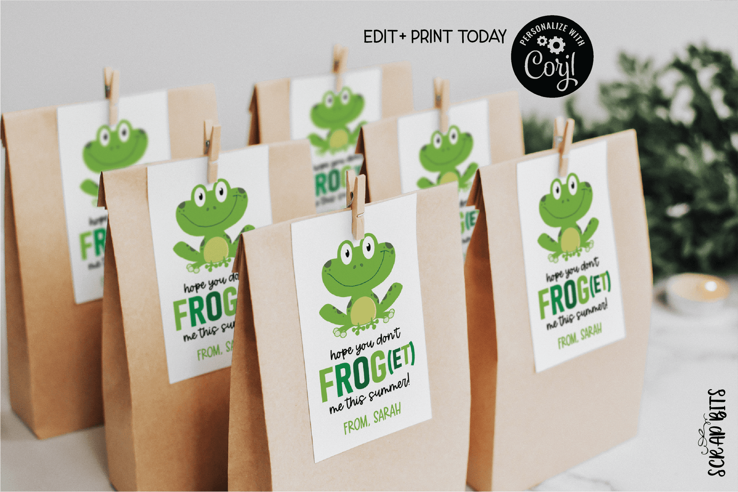Don't Frog (et) Me Last Day of School Tags, EDITABLE Printable Digital Download - Scrap Bits