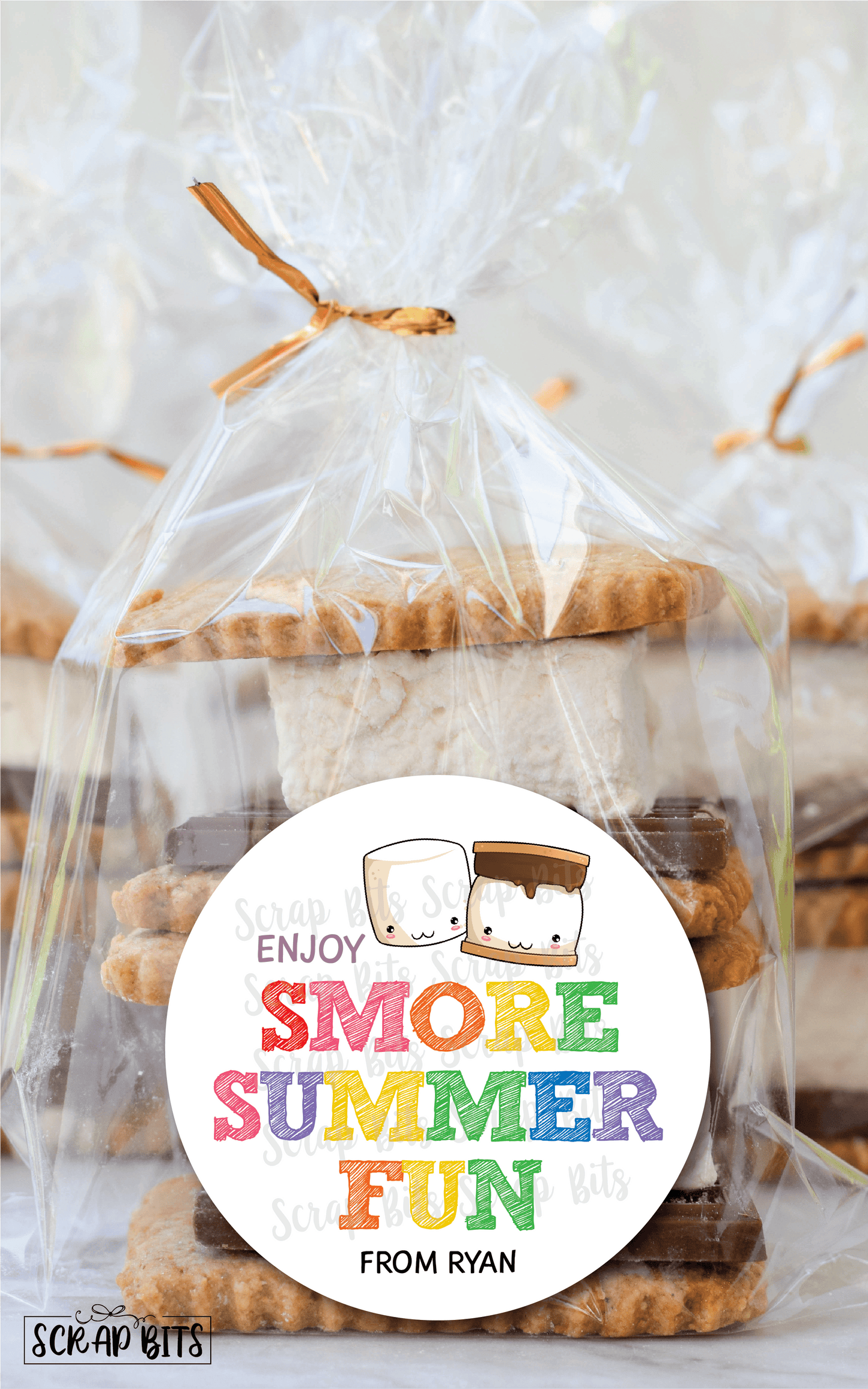 Smore Summer Fun Thank You, Last Day of School Stickers or Tags - Scrap Bits