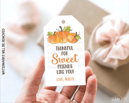 Thankful for Sweet Friends Like You . Thanksgiving Gift Tags - Scrap Bits
