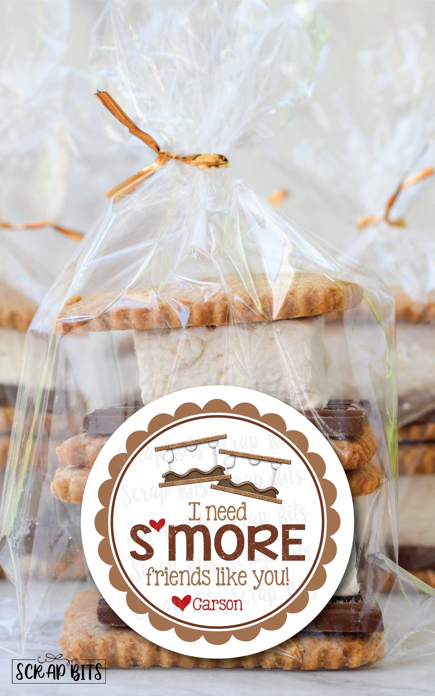 I Need S'more Friends Like You . Smore Stickers . Valentine's Day Stickers or Tags - Scrap Bits