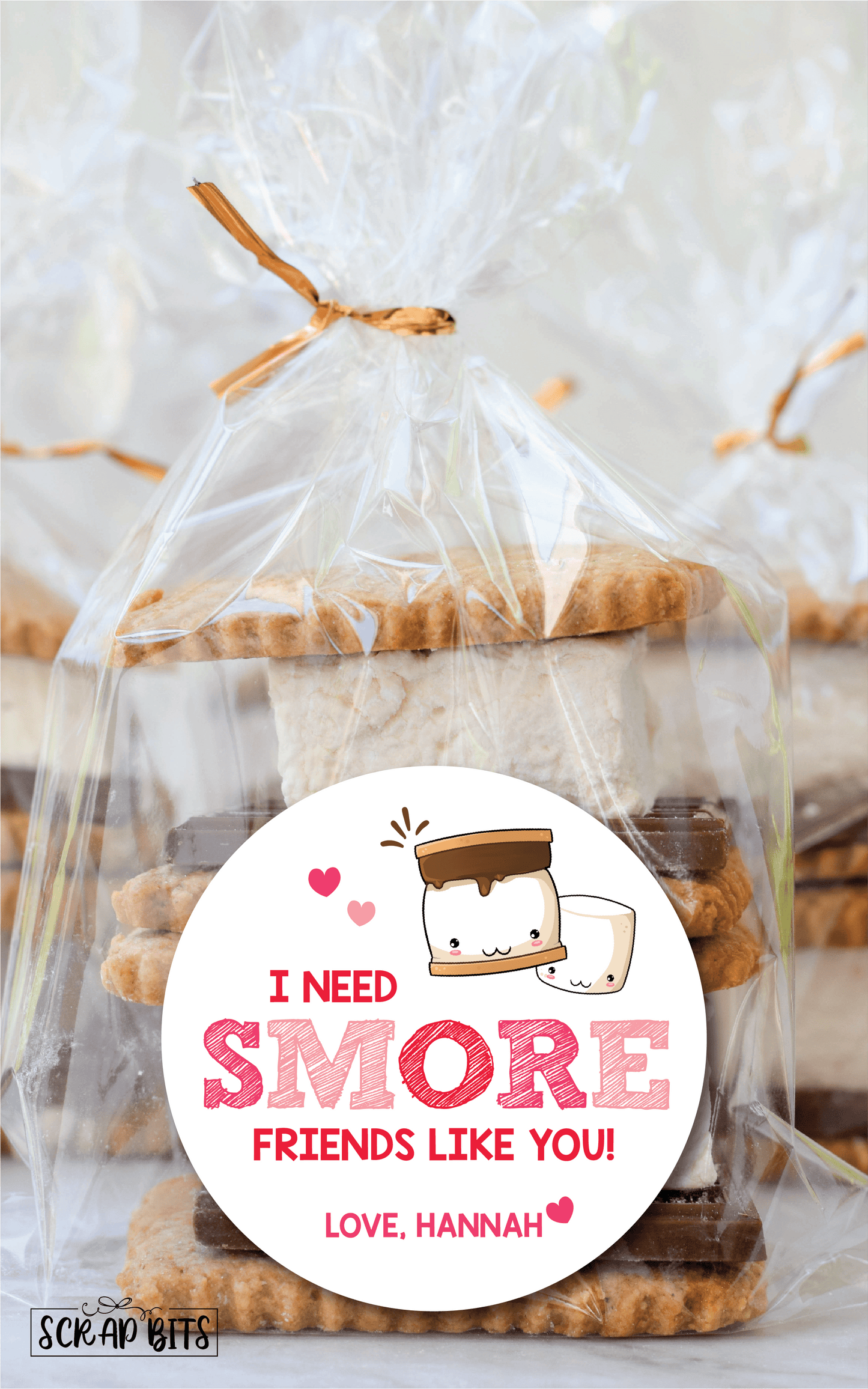 I Need Smore Friends Like You . S'more Valentines . Valentine's Day Stickers or Tags - Scrap Bits
