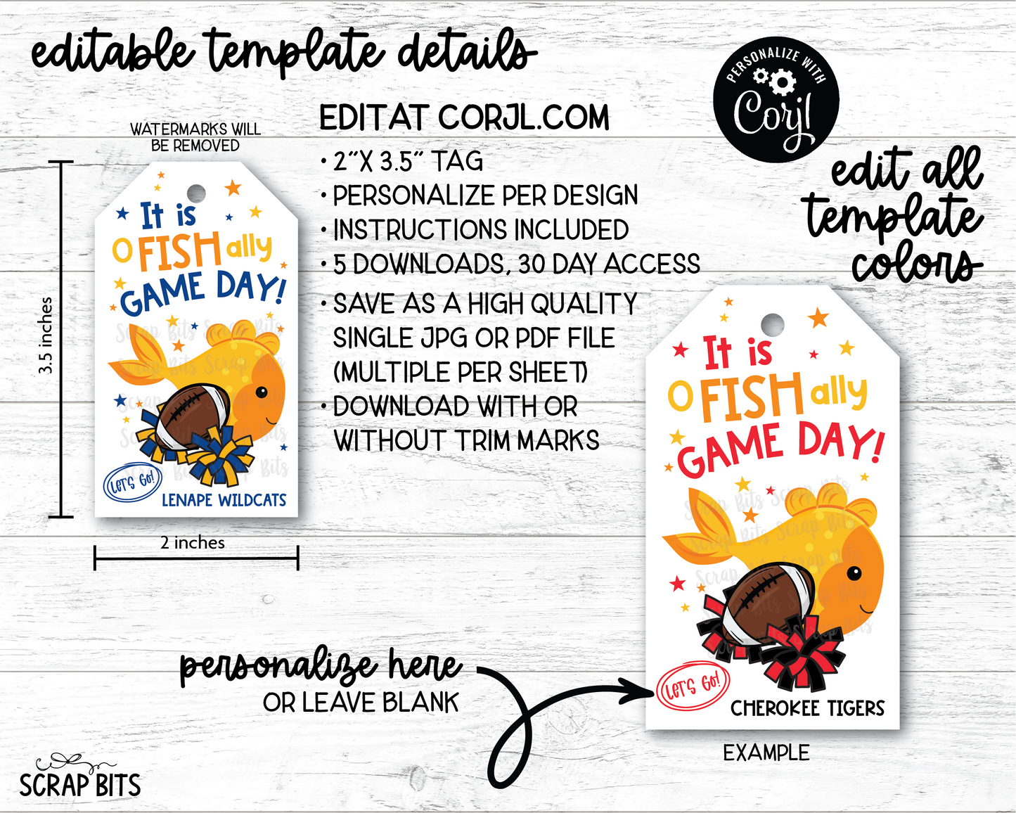 Football + Poms, Printable Game Day Gift Tags, Personalized Editable Template