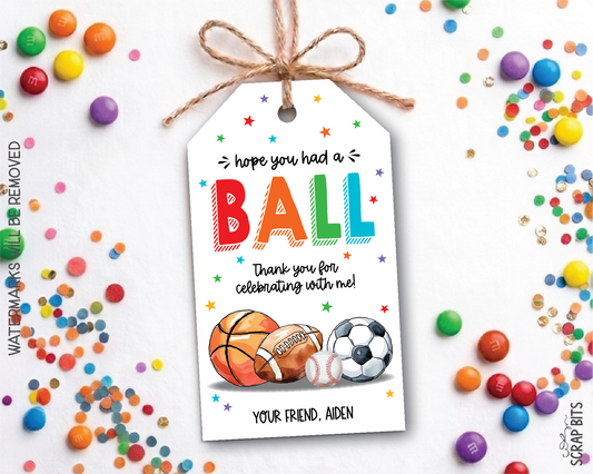 Sports Birthday Favor Tags, Rainbow Hope You Had A Ball, Personalized Labels