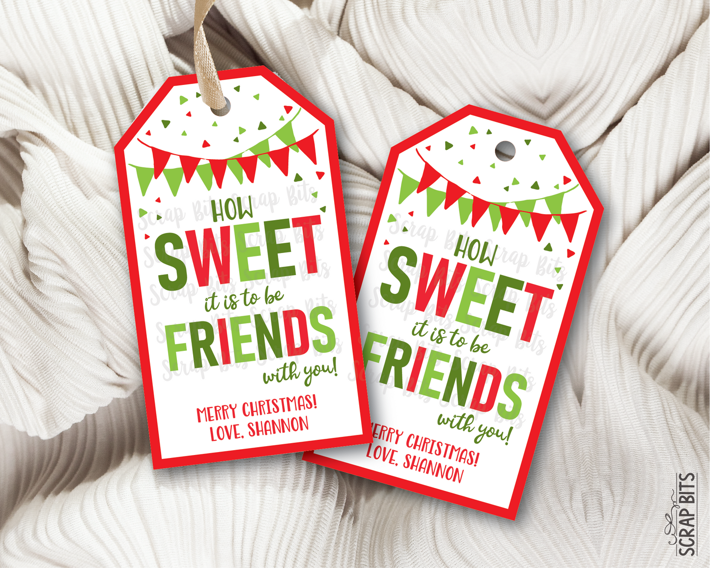 Sweet Friends Printable Christmas Gift Tags . Instant Download Editable Template