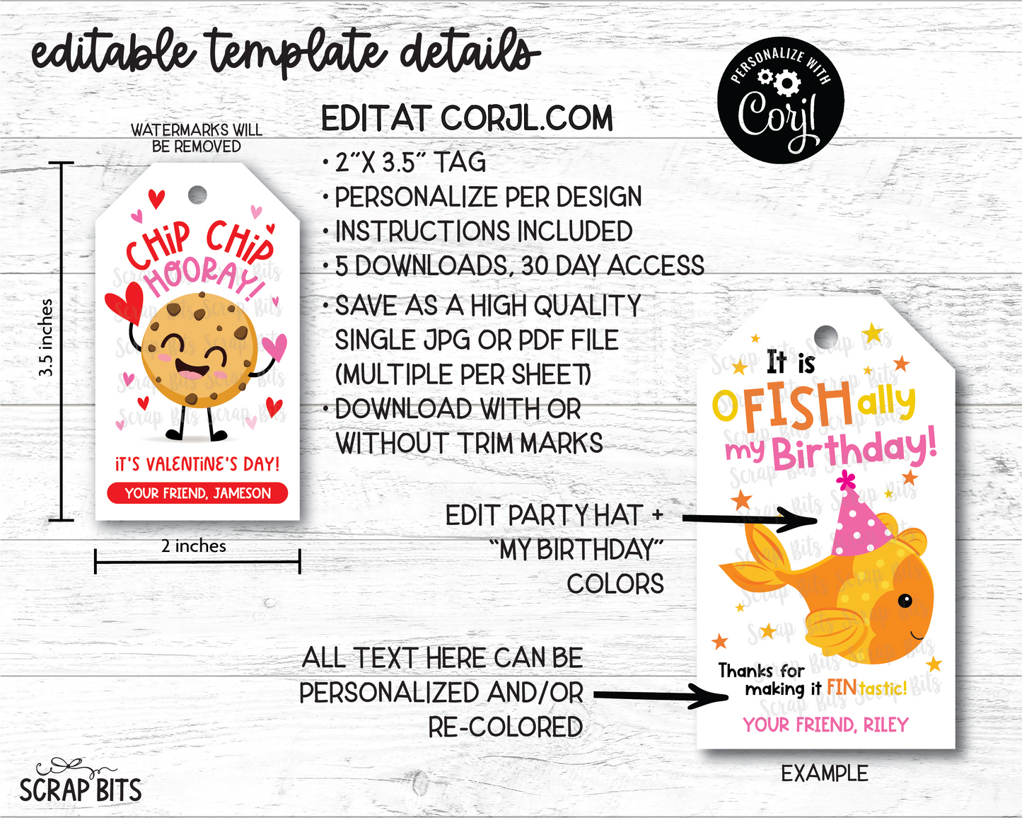 It's O FISH Ally My Birthday, Printable Goldfish Birthday Treat Bag Tags . Instant Download Editable Template