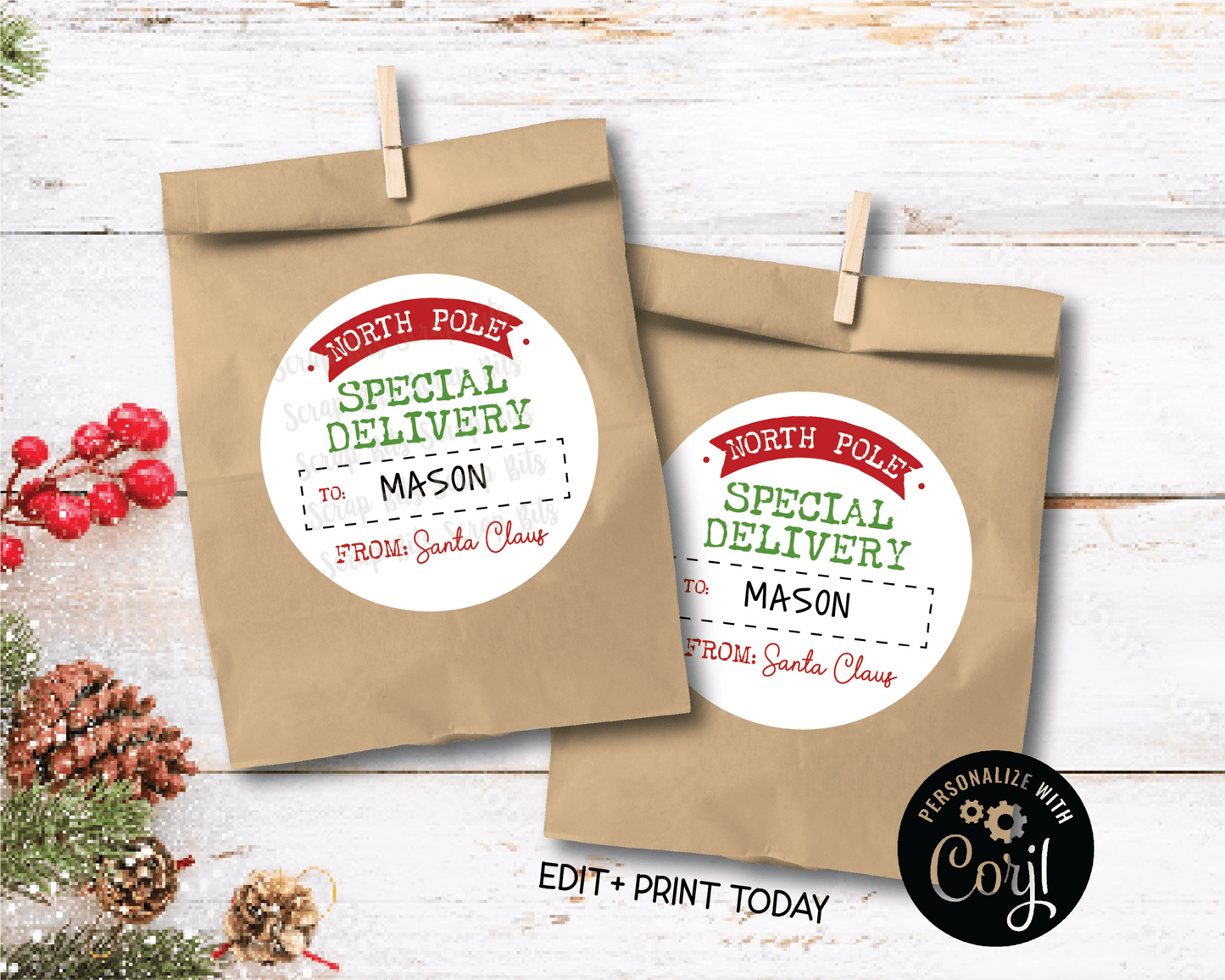 EDITABLE Christmas Gift Labels, Arched Special Delivery From Santa Printable Tags, Instant Download Editable Template - Scrap Bits