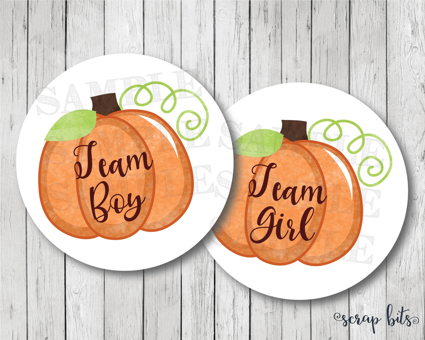 Pumpkin Gender Reveal Stickers, Orange - Scrap Bits