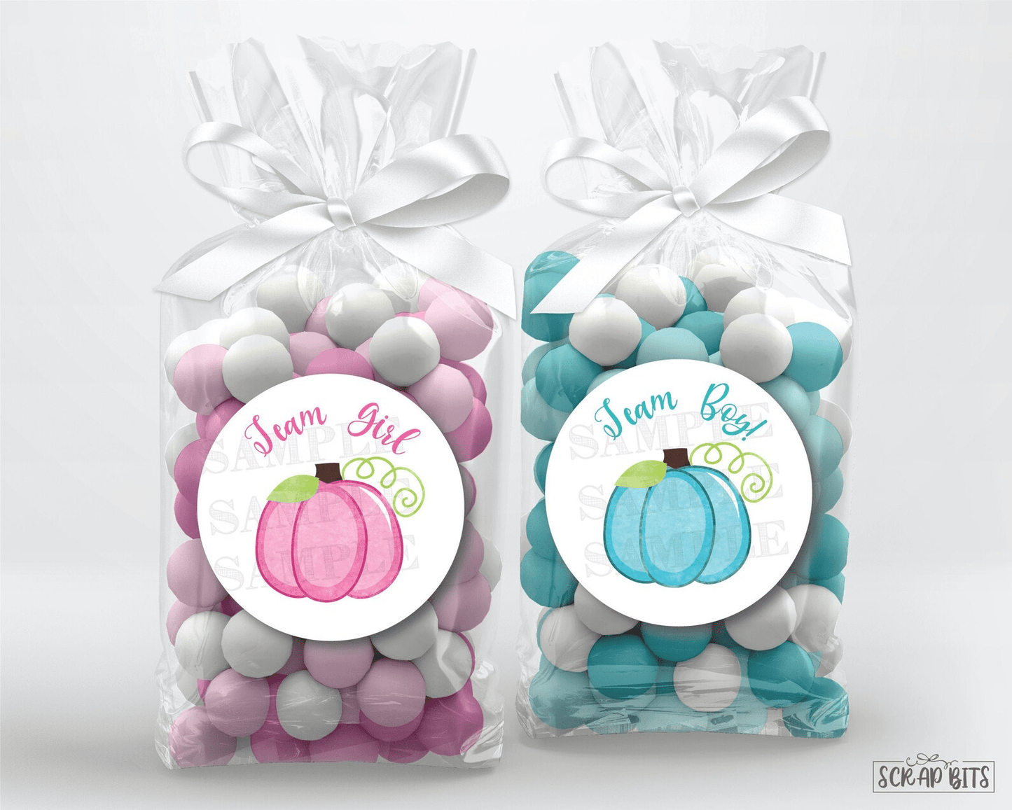 Pumpkin Gender Reveal Stickers, Pink & Blue - Scrap Bits