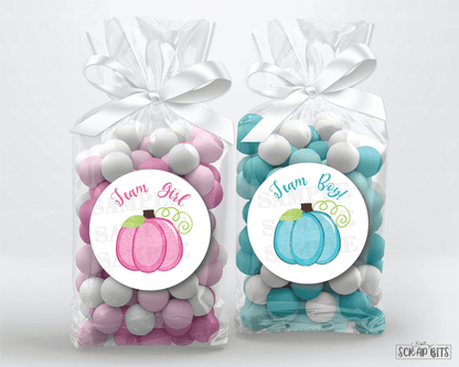 Pumpkin Gender Reveal Stickers, Pink & Blue - Scrap Bits