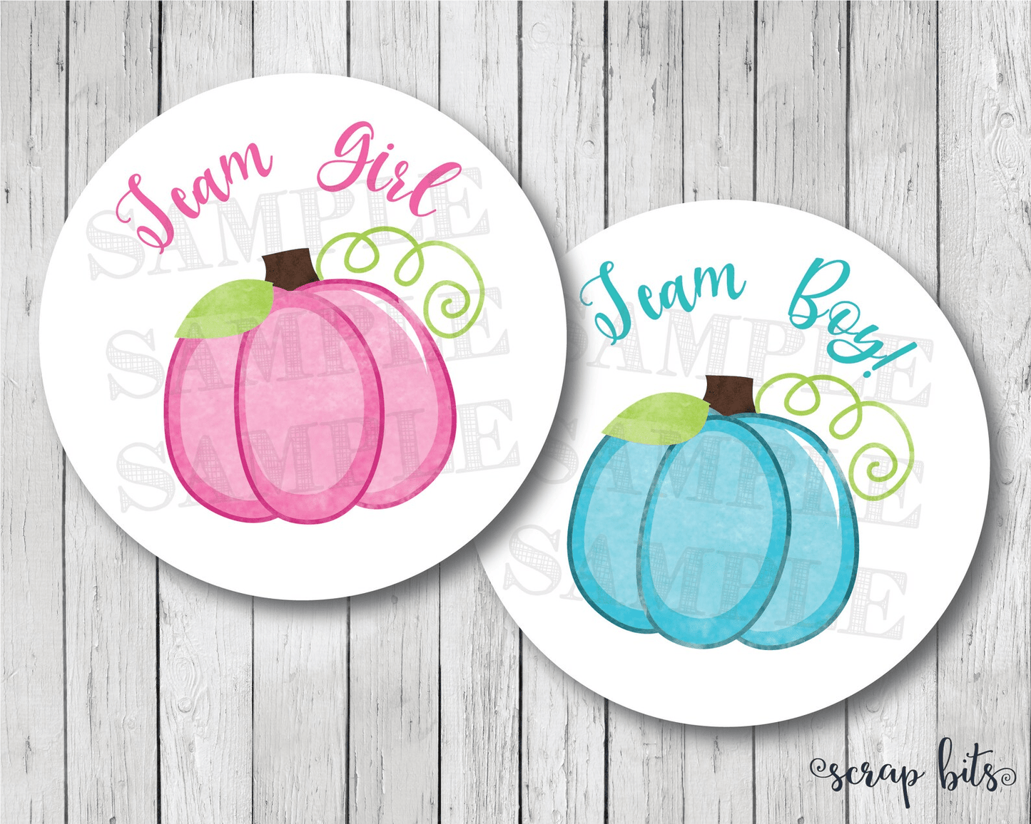 Pumpkin Gender Reveal Stickers, Pink & Blue - Scrap Bits