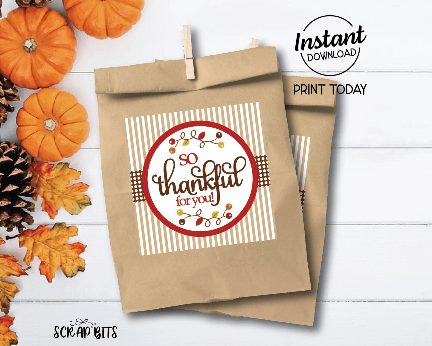 So Thankful For You, Fall Berries Printable Thanksgiving Tags, Instant Download - Scrap Bits
