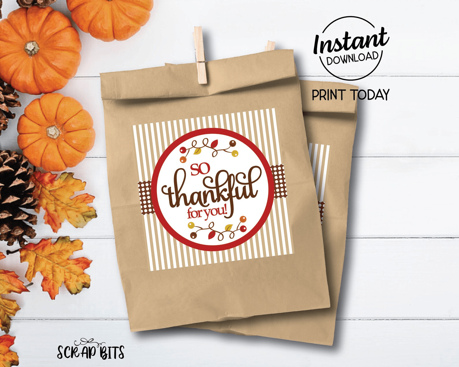 So Thankful For You, Fall Berries Printable Thanksgiving Tags, Instant Download - Scrap Bits