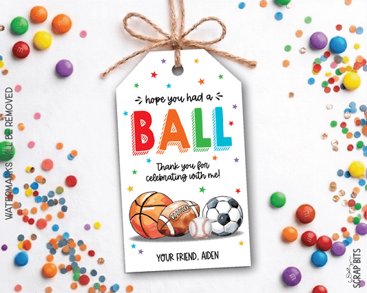 Sports Birthday Favor Tags, Rainbow Hope You Had A Ball, Personalized Labels - Scrap Bits