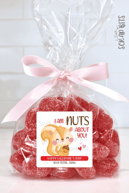 Squirrel Valentines, I'm Nuts About You Valentine Treat Bag Stickers - Scrap Bits