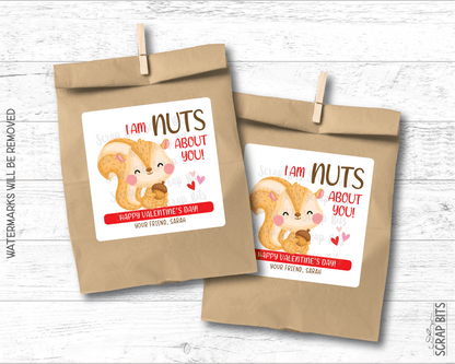 Squirrel Valentines, I'm Nuts About You Valentine Treat Bag Stickers - Scrap Bits