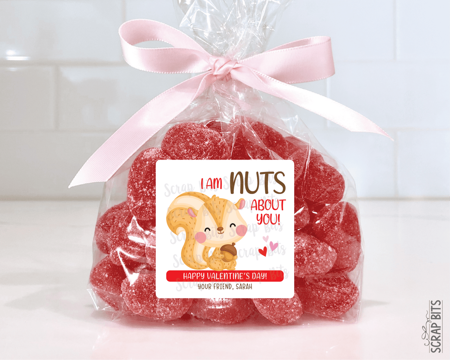 Squirrel Valentines, I'm Nuts About You Valentine Treat Bag Stickers - Scrap Bits