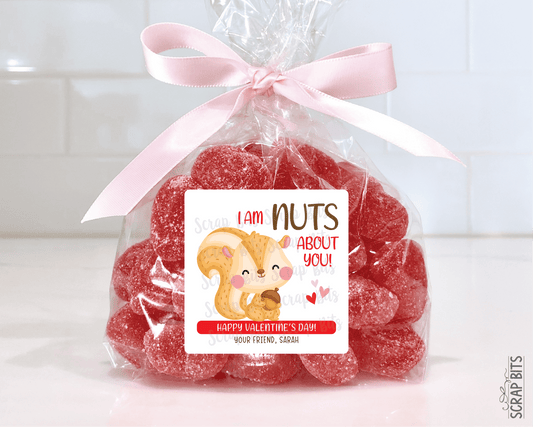 Squirrel Valentines, I'm Nuts About You Valentine Treat Bag Stickers - Scrap Bits