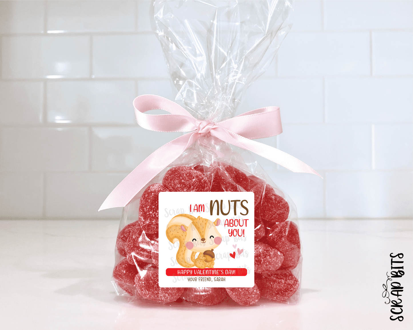 Squirrel Valentines, I'm Nuts About You Valentine Treat Bag Stickers - Scrap Bits