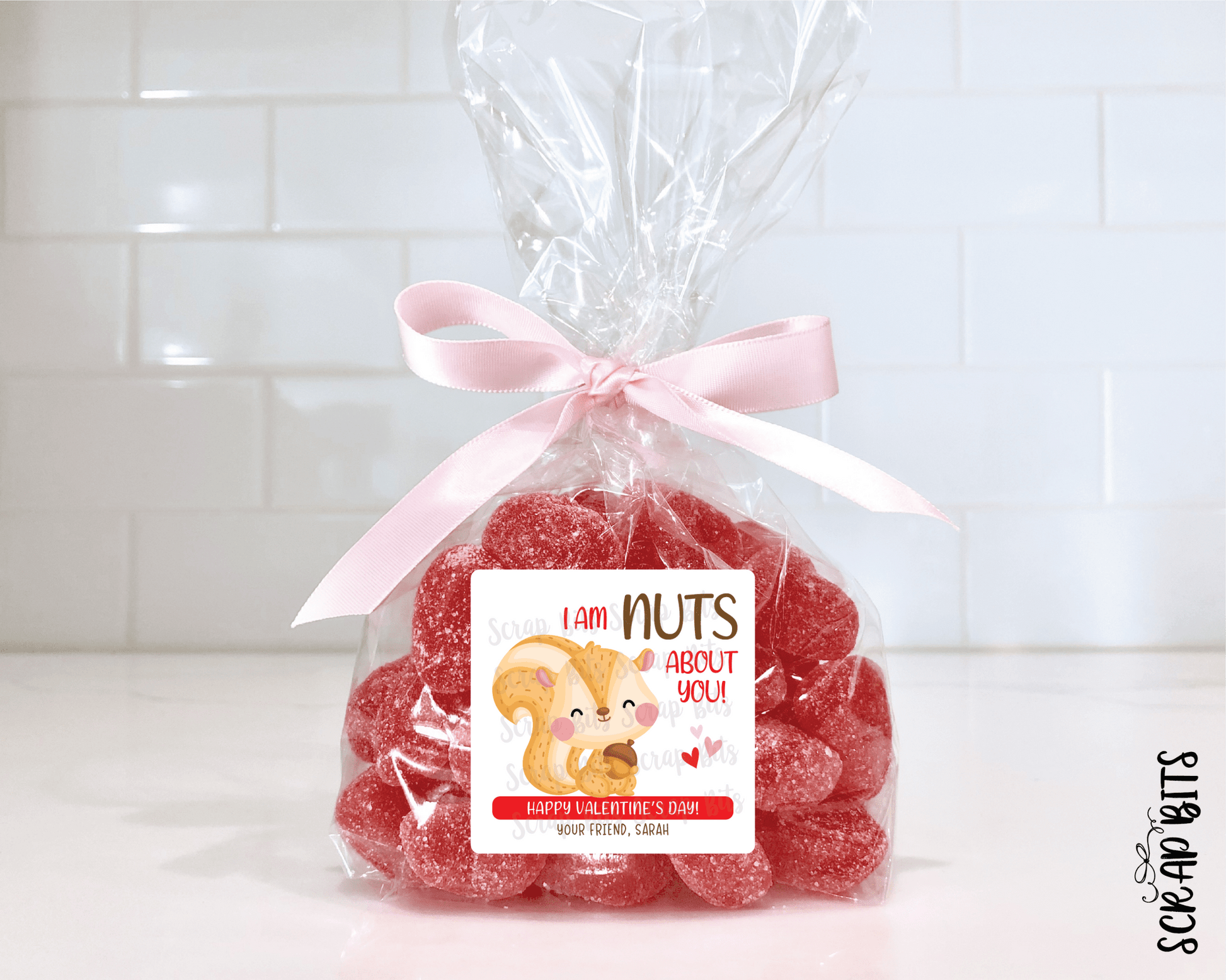 Squirrel Valentines, I'm Nuts About You Valentine Treat Bag Stickers - Scrap Bits