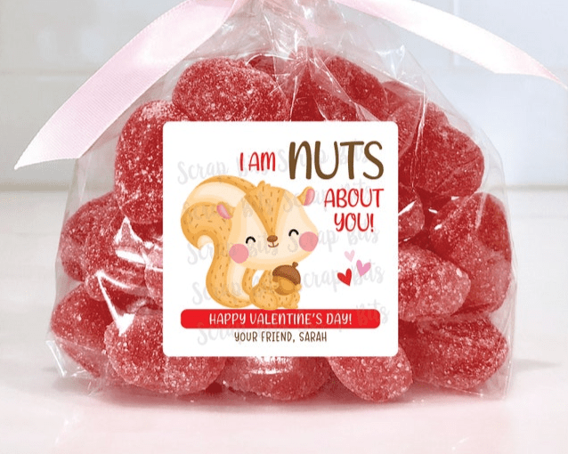 Squirrel Valentines, I'm Nuts About You Valentine Treat Bag Stickers - Scrap Bits