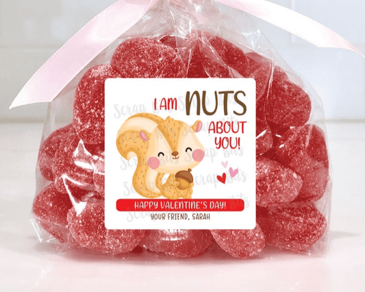 Squirrel Valentines, I'm Nuts About You Valentine Treat Bag Stickers - Scrap Bits