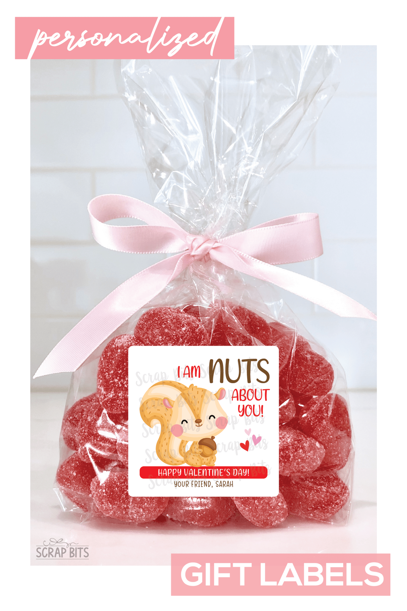 Squirrel Valentines, I'm Nuts About You Valentine Treat Bag Stickers - Scrap Bits