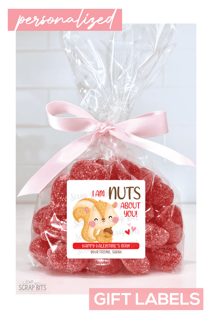 Squirrel Valentines, I'm Nuts About You Valentine Treat Bag Stickers - Scrap Bits