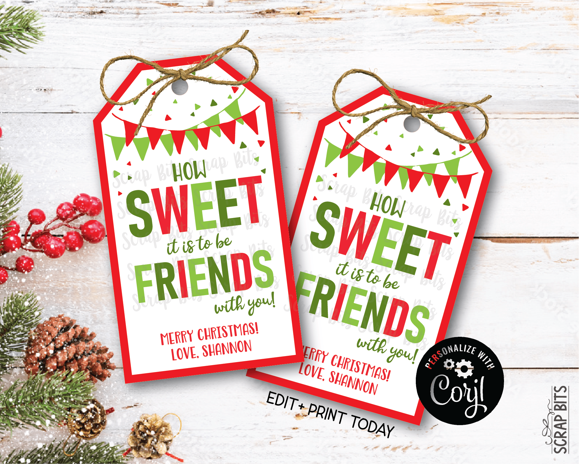 Sweet Friends Printable Christmas Gift Tags . Instant Download Editabl ...
