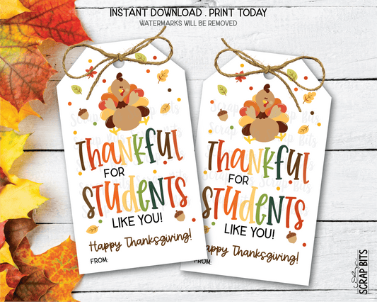 Thankful For Students Like You, Scatter Leaves Thanksgiving Gift Tags, Instant Download - Scrap Bits