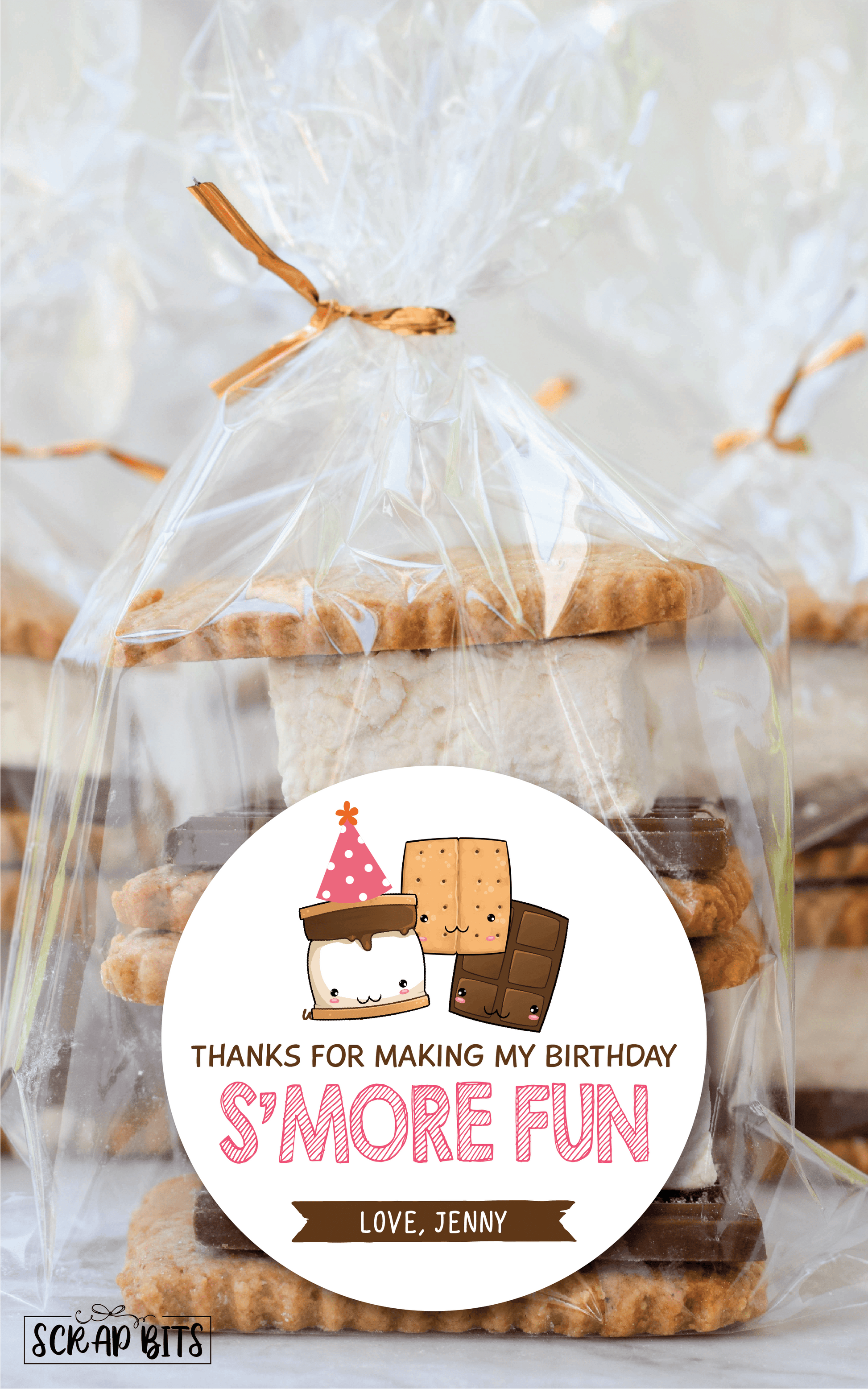 Thanks For Making My Birthday S'more Fun, Smore Birthday Favor Stickers or Tags - Scrap Bits