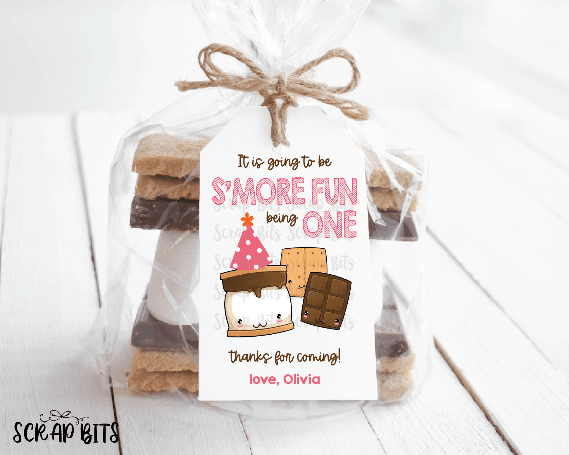 1st Birthday S'more Favor Tags, S'more Fun Being One . Smore Birthday Tags - Scrap Bits