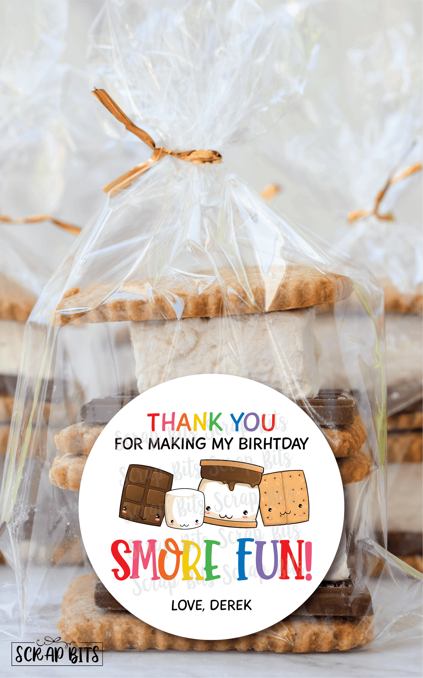 Birthday Smore Fun Stickers, Rainbow . Smores Birthday Party Favor Stickers or Tags - Scrap Bits