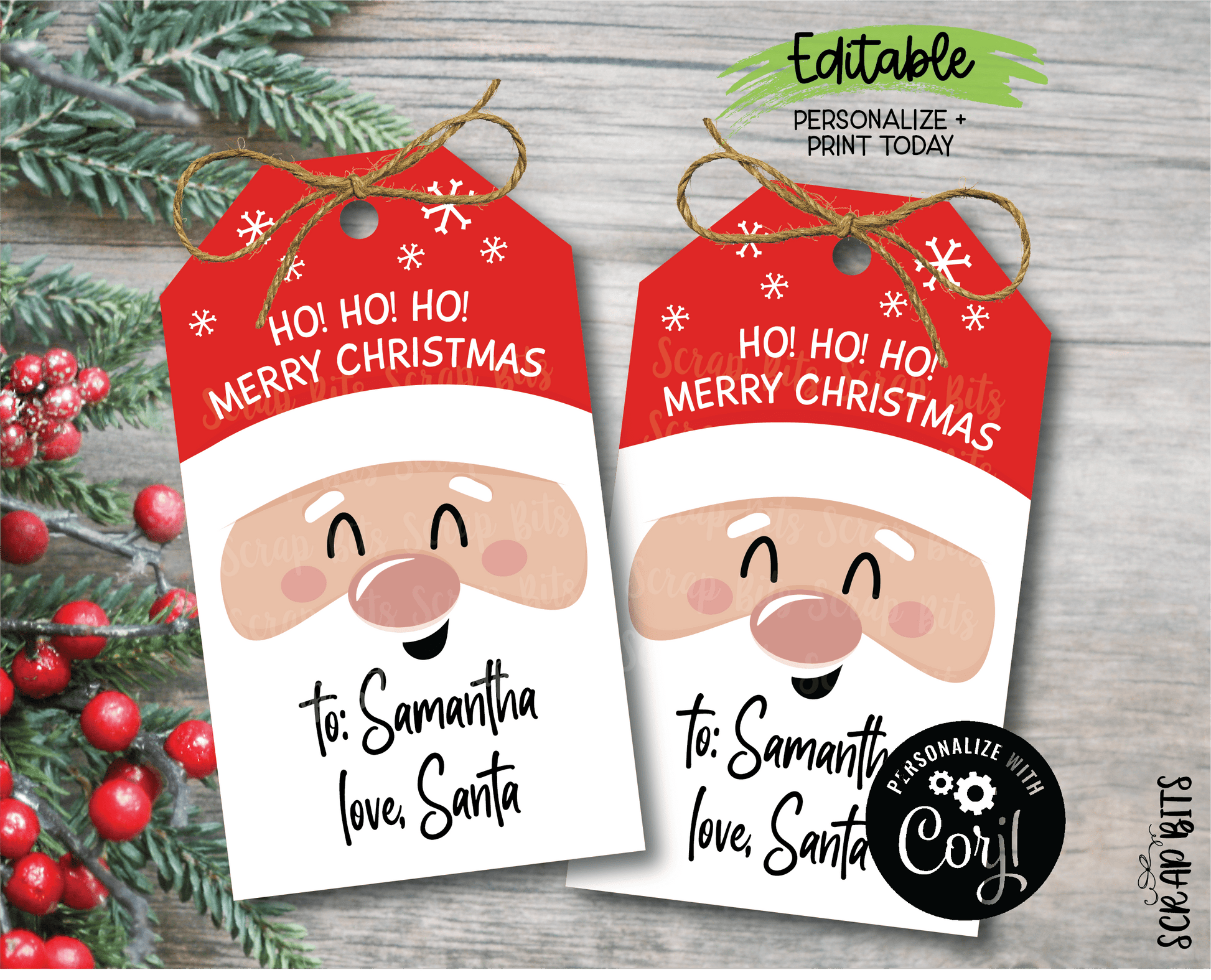 From Santa Tags, To From Printable Christmas Tags, Close Up Santa Face . Instant Download Editable Template - Scrap Bits