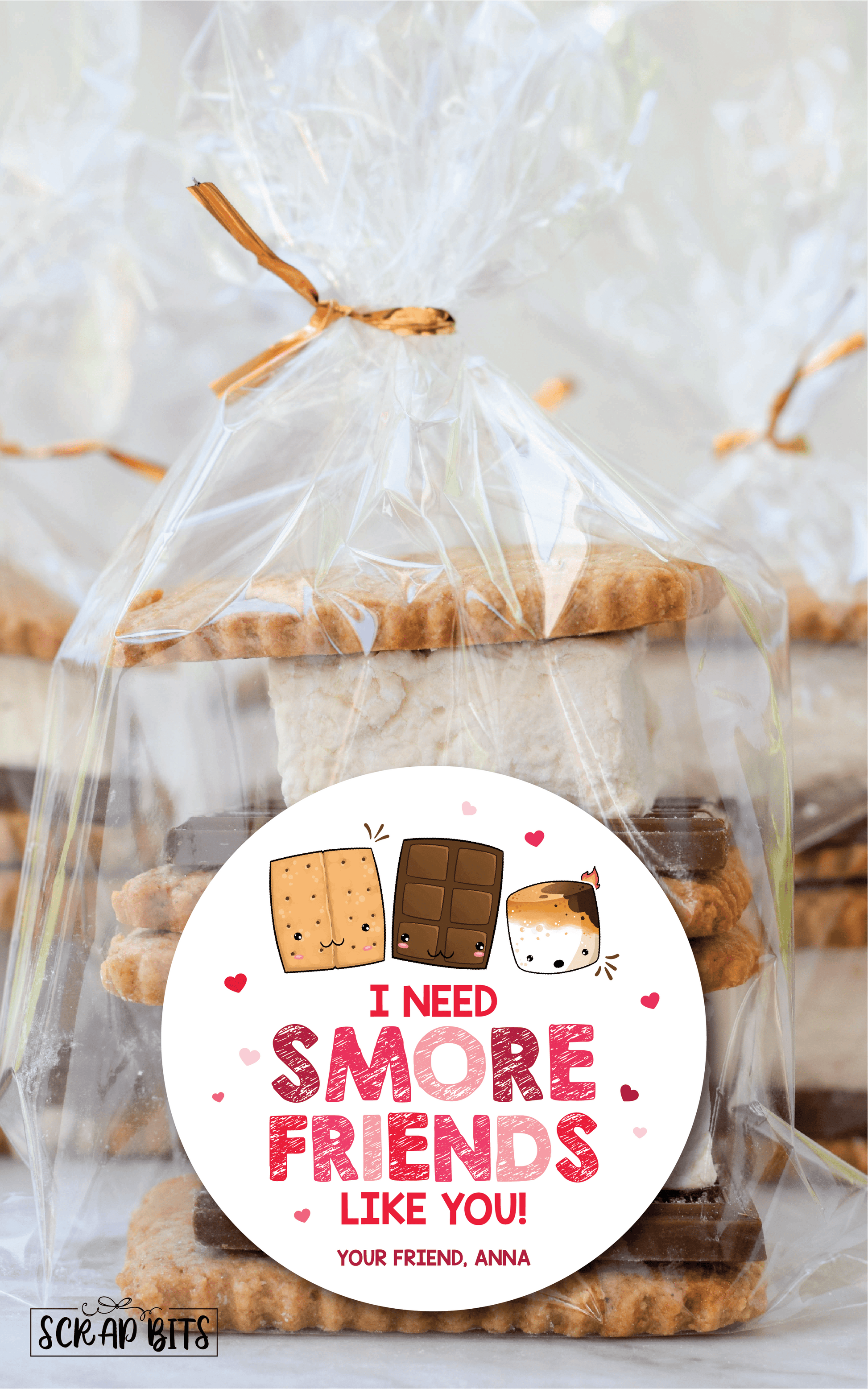 I Need Smore Friends Like You . S'more Valentines . Valentine's Day Stickers or Tags - Scrap Bits