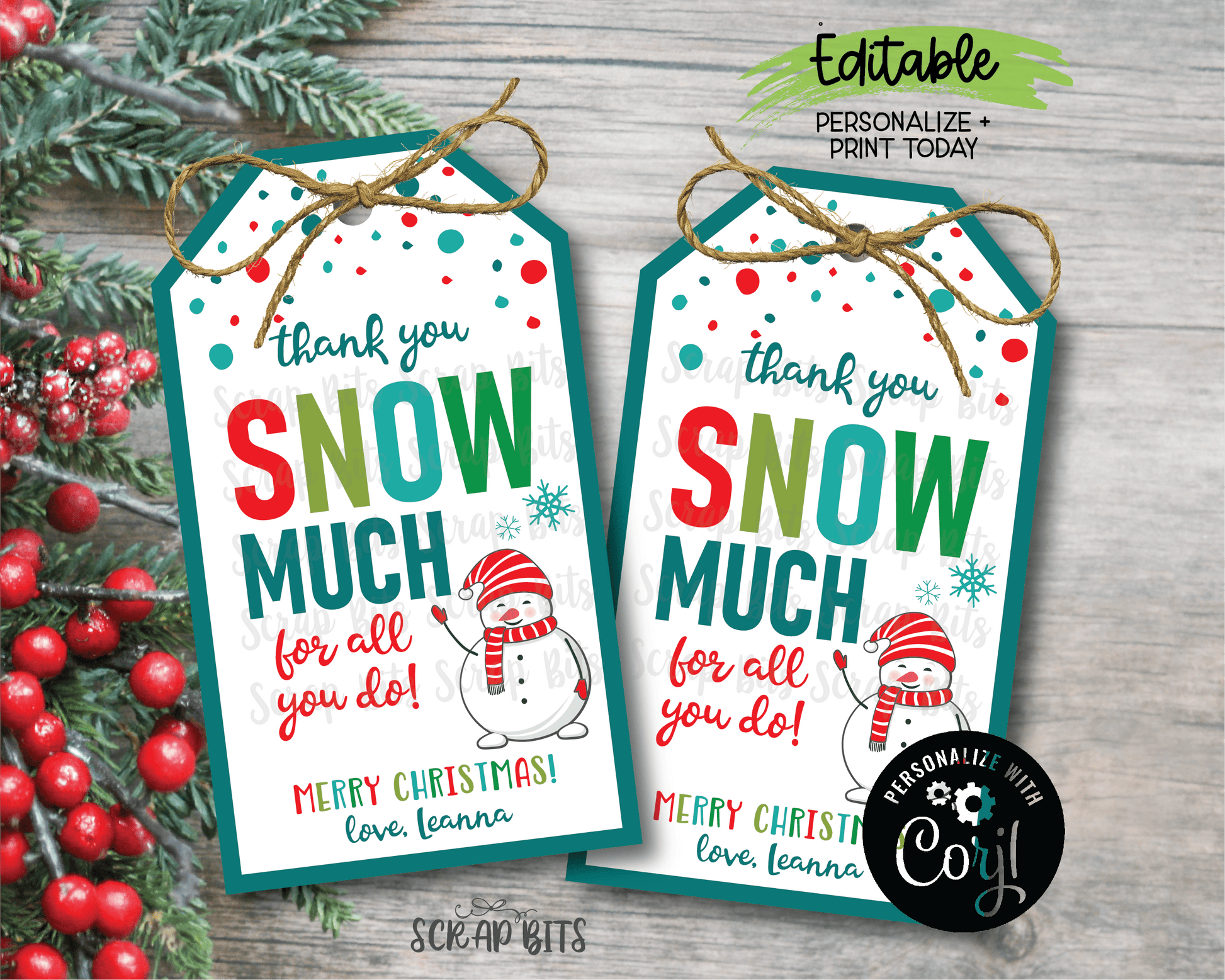 Thank You Snow Much Snowman Tags, Printable Snowman Christmas Tags . Instant Download Editable Template - Scrap Bits