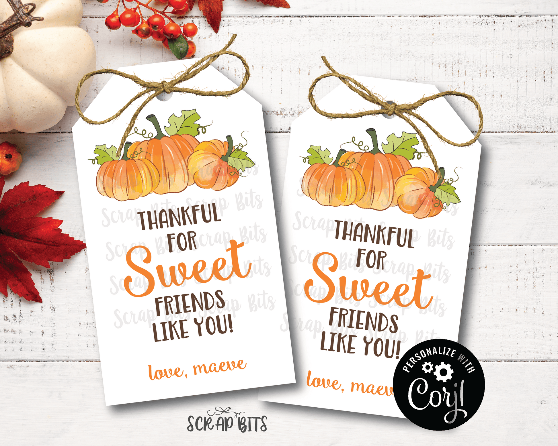Thankful for Sweet Friends Like You Tags, Printable Thanksgiving Tags . Instant Download Editable Template - Scrap Bits