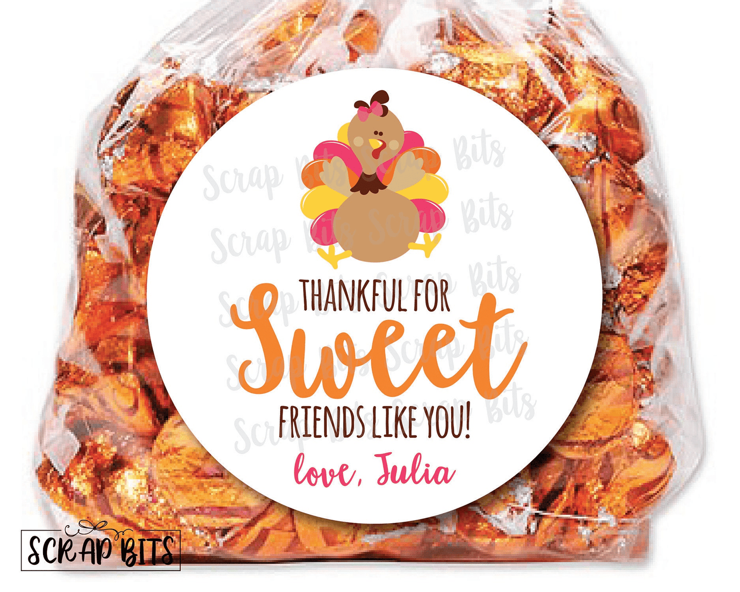 Turkey Thankful For Sweet Friends Like You Stickers or Tags - Scrap Bits