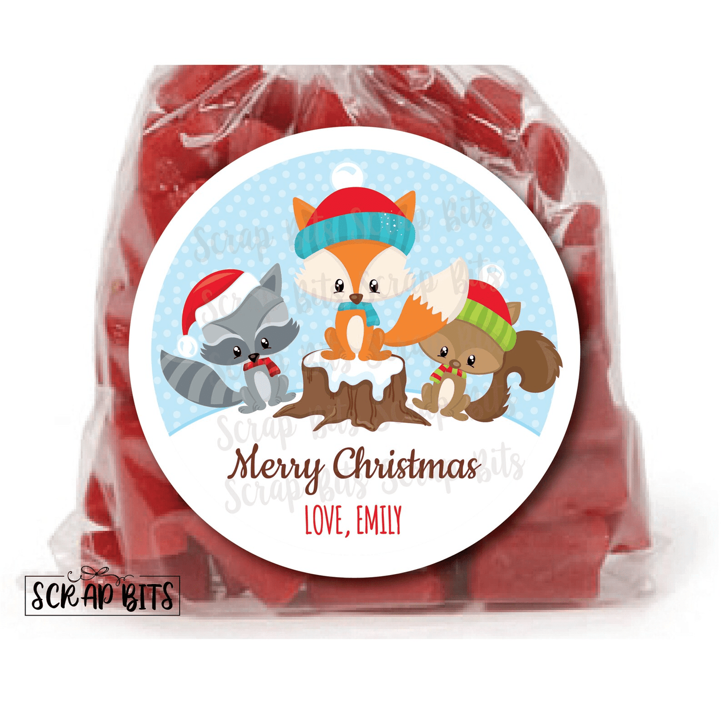 Woodland Christmas Gift Stickers, Squirrel, Fox, Racoon, Personalized Christmas Gift Labels - Scrap Bits